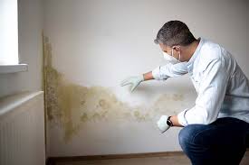 Best Residential Mold Inspection & Testing  in Bay, AR